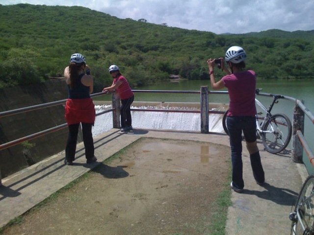 Lugaternera maravillosos